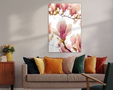 spring flowers