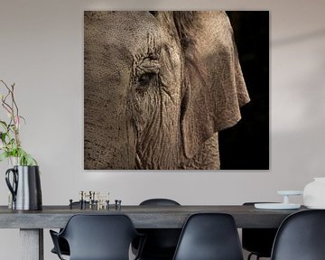 Elephant by Nienke Bot