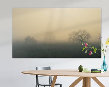 schapen in de mist van snippephotography