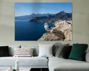 Seagull kijkt naar de Middellandse Zee in Spanje