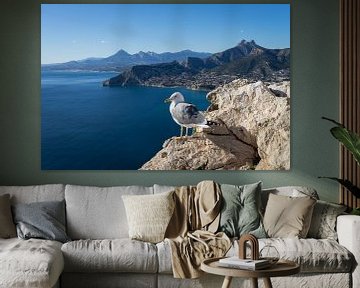 Seagull kijkt naar de Middellandse Zee in Spanje van Adriana Mueller