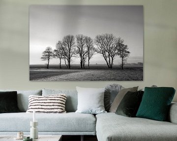 Baumreihe im Winter (schwarz und weiß) von Bo Scheeringa Photography