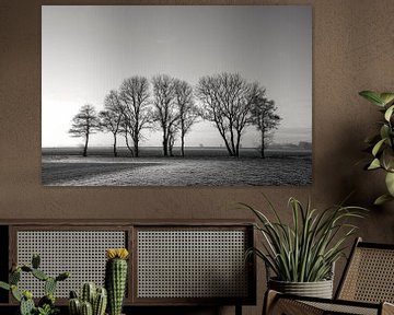 Bomenrij in de winter (zwart wit) van Bo Scheeringa Photography