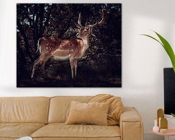 Imposing Fallow Deer in the Forest Fine Art by Fotojeanique .