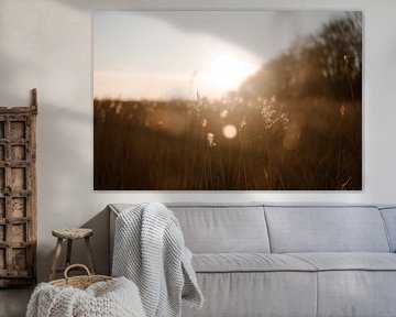 Coucher de soleil avec paysage hollandais