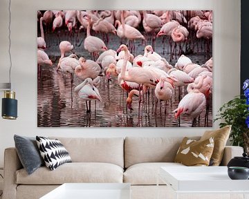 Flamants roses sur Rob Boon