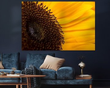 Eine sonnige Sonnenblume von Marjolijn van den Berg
