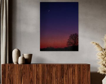 Coucher de soleil et croissant de lune sur Rene Wolf