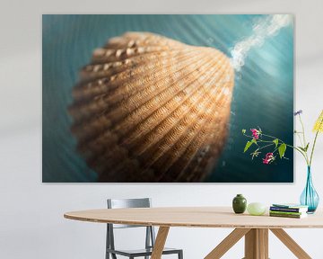 Shell with stripe pattern with the color of the sea by Lisette Rijkers