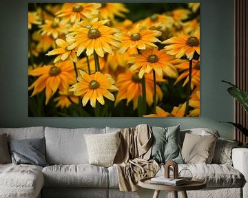 Yellow orange coneflowers by marlika art