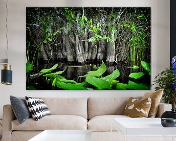 Forêt de mangroves sur marlika art