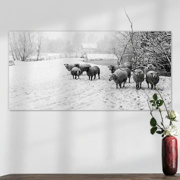 Paysage enneigé avec des moutons