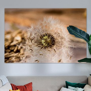 Fleur de pissenlit sur fond stylisé