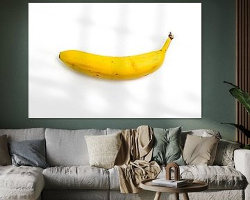 Banana studio photography