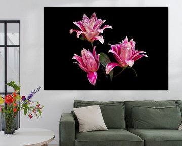 Lovely Lilies by marlika art