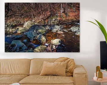 Rivière de montagne La Hoëgne sur Rob Boon