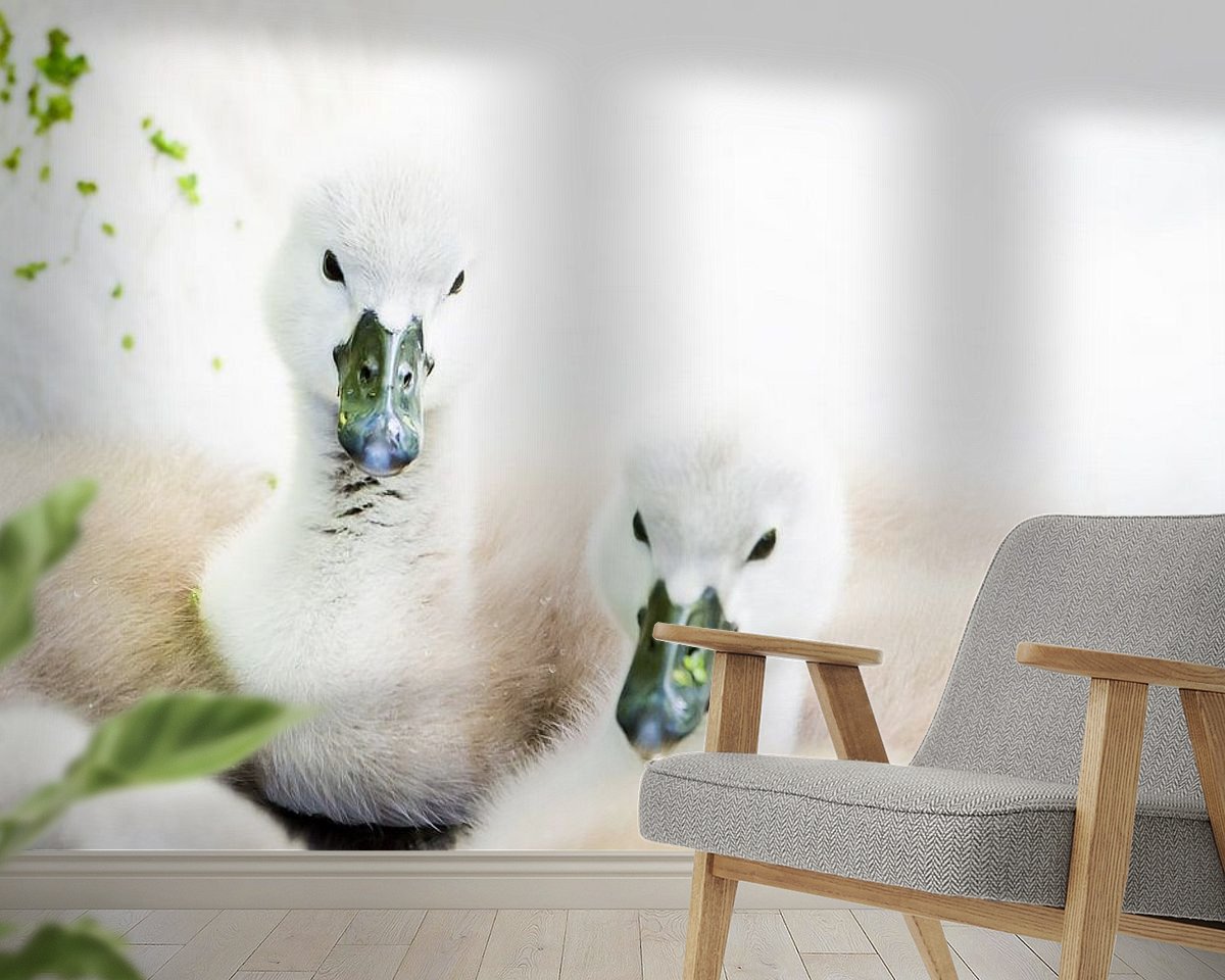 Raumvorschau
