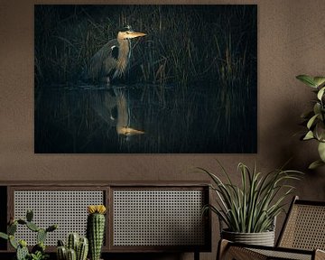 Heron on the lookout by Dirk van Egmond