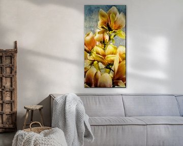 Flower painting - magnolia flowers by Christine Nöhmeier
