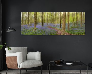Pfad durch den Hallerbos Bluebell Wald von Sjoerd van der Wal Fotografie