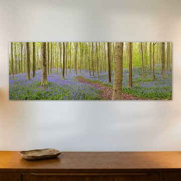 Pfad durch den Hallerbos Bluebell Wald von Sjoerd van der Wal Fotografie