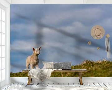Lammetjes en schapen op Texel van Texel360Fotografie Richard Heerschap