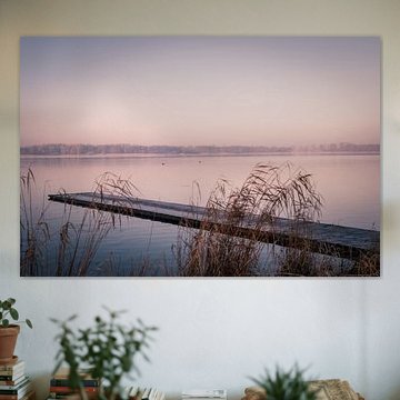 Une jetée derrière les roseaux