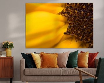 Eine Nahaufnahme einer warmen, sonnigen, gelben Sonnenblume von Marjolijn van den Berg