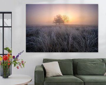 Frozen fields of Deelen van Jeroen Lagerwerf