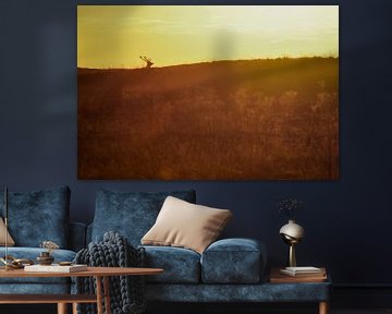 Red deer in sunset by Danny Slijfer Natuurfotografie