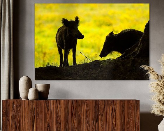 Voorbeeld van het werk in een kamer