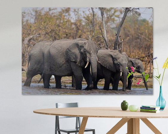 Aperçu de la chambre