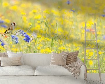 Putter in bloemenzee van Danny Slijfer Natuurfotografie