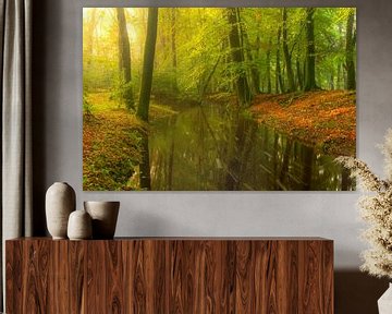 Creek in a bright green forest during an early fall morning by Sjoerd van der Wal Photography