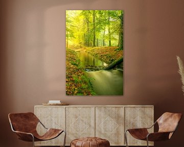 Creek in a bright green forest during an early fall morning by Sjoerd van der Wal Photography