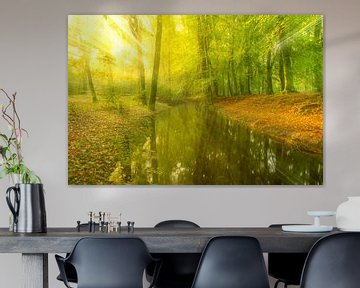 Ein Bach in einem hellgrünen Wald an einem frühen Herbstmorgen von Sjoerd van der Wal Fotografie