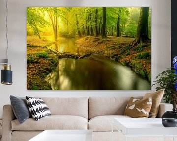 Creek in a bright green forest during an early fall morning by Sjoerd van der Wal Photography