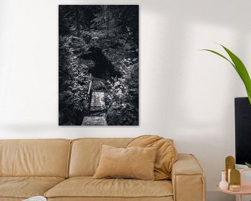 Kirnitzsch valley between rocks and sandstones by Jakob Baranowski - Photography - Video - Photoshop