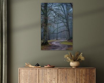 Winding path in the forest by Moetwil en van Dijk - Fotografie