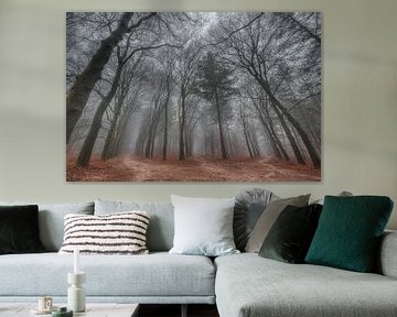 Tussen de bomen van Moetwil en van Dijk - Fotografie