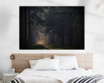 Morgennebel im dunklen Wald von Moetwil en van Dijk - Fotografie