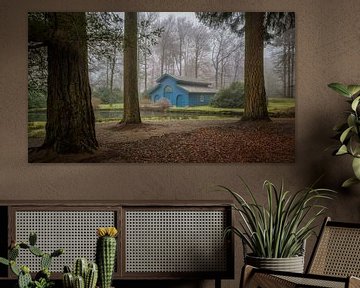 Het blauwe boothuis in het bos van Moetwil en van Dijk - Fotografie