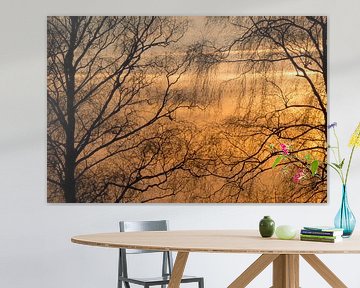 Détail des branches au lever du soleil sur Moetwil en van Dijk - Fotografie