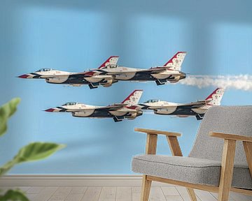 Thunderbirds van de U.S. Air Force in actie! van Jaap van den Berg