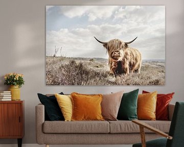 Schotse Hooglandkoe (Highland Cow) op de Heide van Crystal Clear