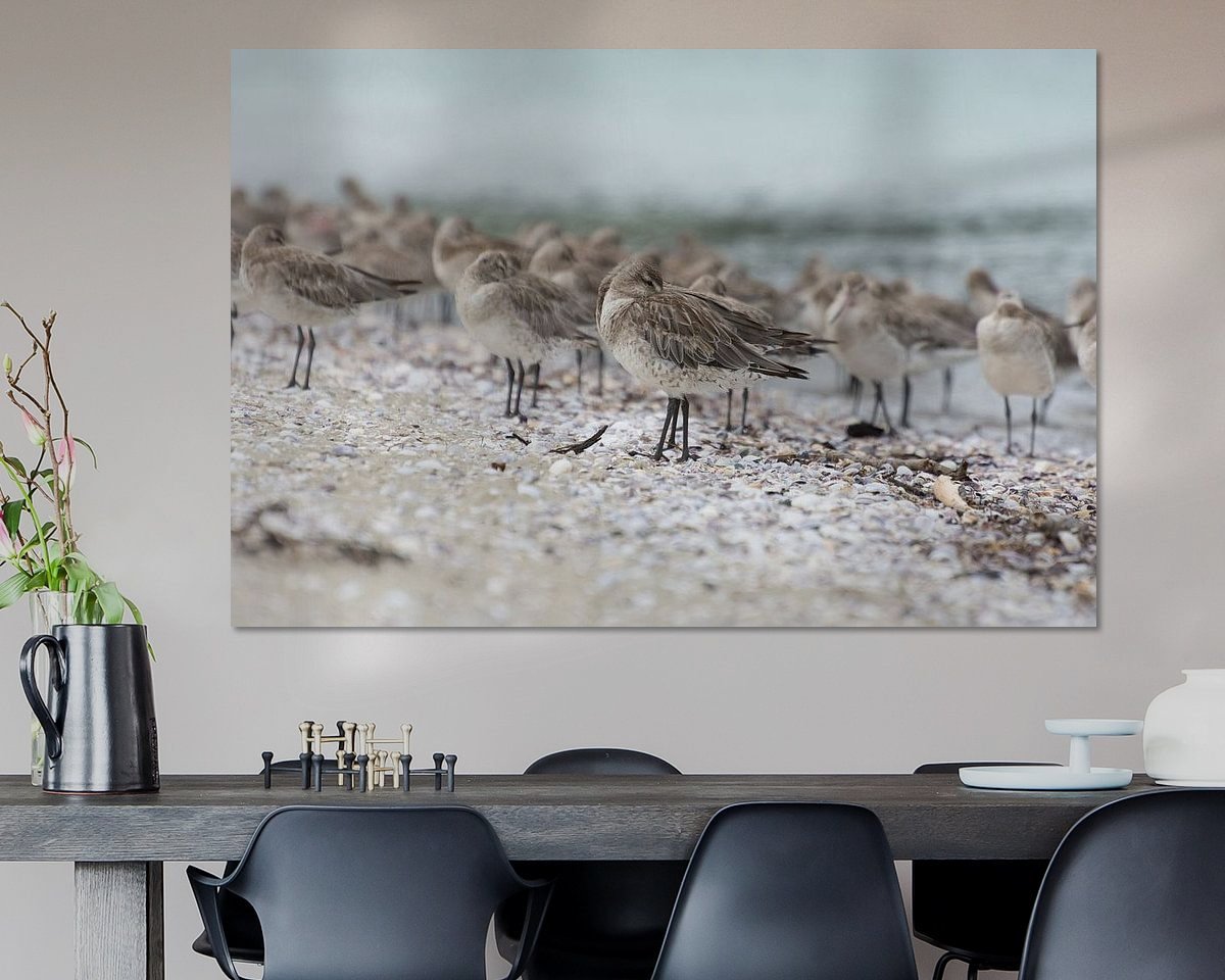 Raumvorschau