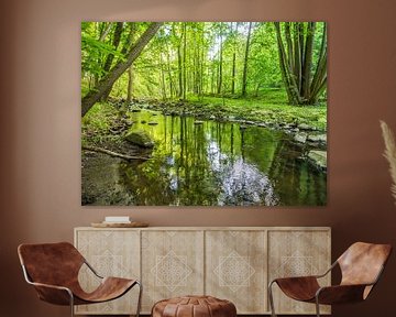 Lente bij de beek in het groene loofbos VI van Jörg B. Schubert