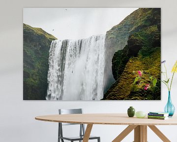 Skógafoss Wasserfall Island - Nahaufnahme von Suzanne Spijkers