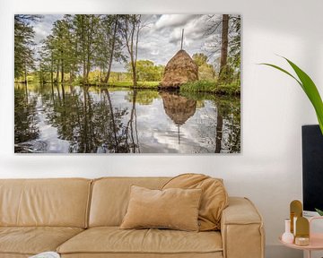 Landscape in Spreewald on the river