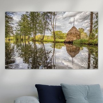 Landscape in Spreewald on the river